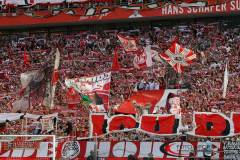 Fans 1. FC Koeln